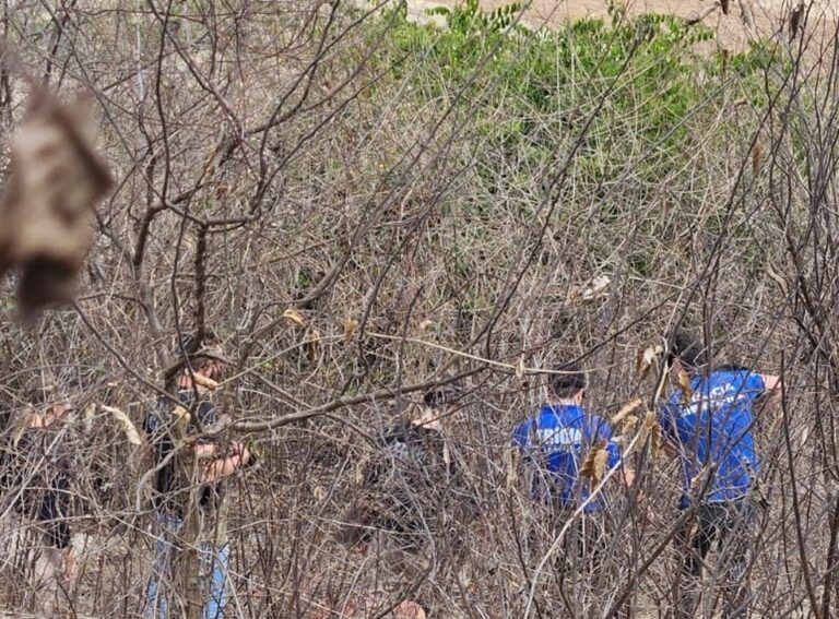 Dois homens são presos suspeitos de matar mulher a golpes de faca em Campina Grande