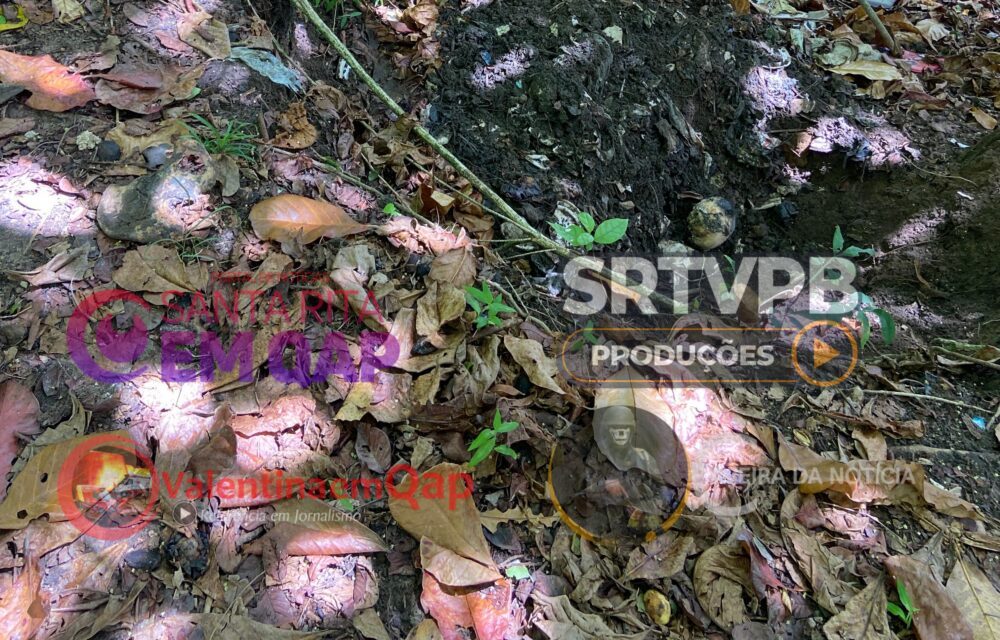 Ossada humana é encontrada em área de mata em bairro de Santa Rita, na PB 2 Picsart 25 02 16 14 53 14 597