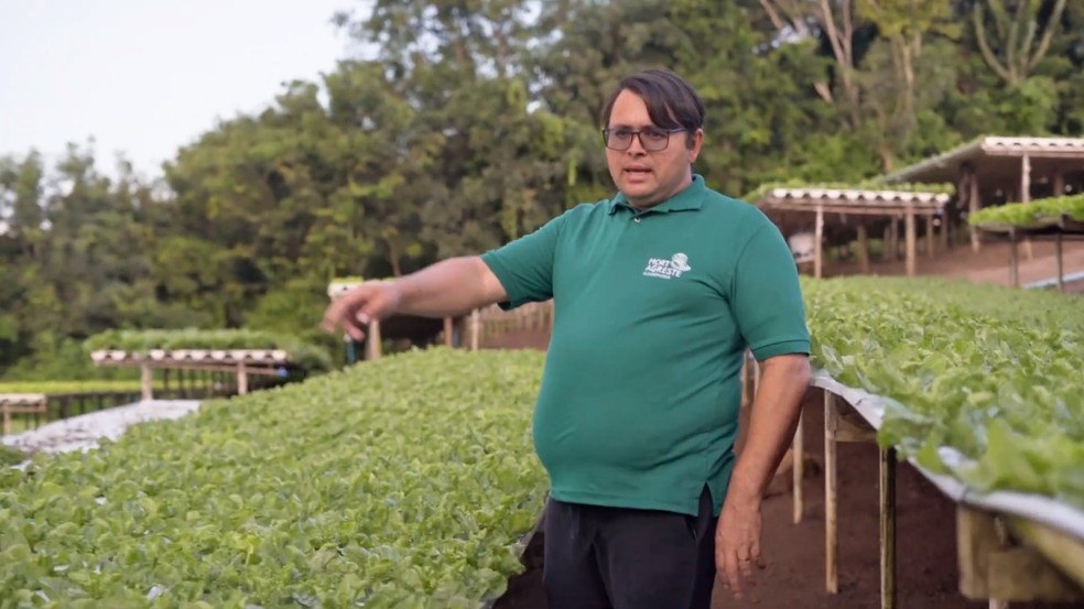 Casal de sócios e diretor financeiro são condenados por golpe milionário envolvendo o cultivo de hortaliças 2 golpe do tomate