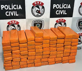 Drogas apreendidas
