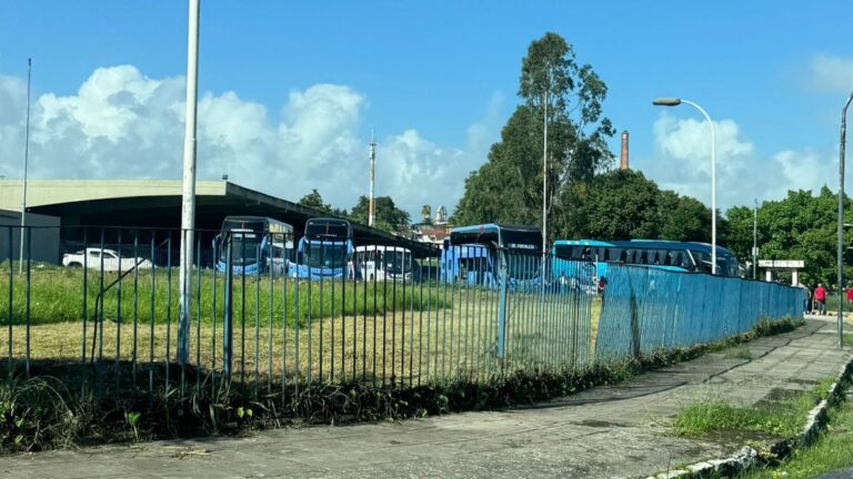 greve-morotistas