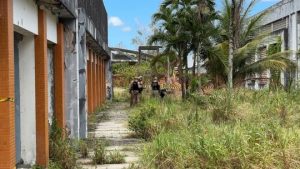 colinas-do-sul-1