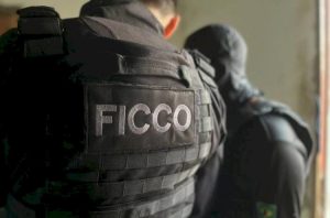 imagem_2024-07-25_102826798.png