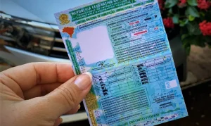 Detran retira baliza como etapa obrigatória e muda regras da