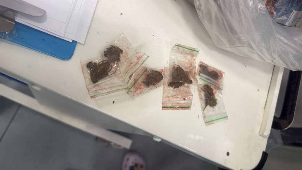 Suspeito morre após ser baleado durante ação da PM em João Pessoa 3 487390