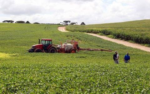 Conab estima safra de grãos de 360,8 milhões de toneladas