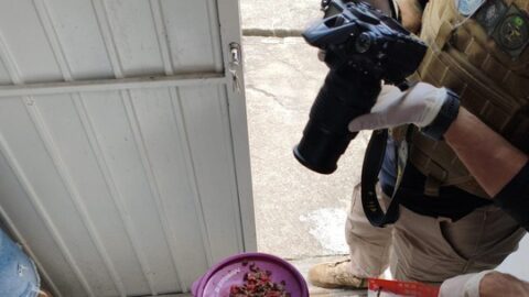 Suspeito de envenenar gatos é preso em Campina Grande após denúncia de moradores