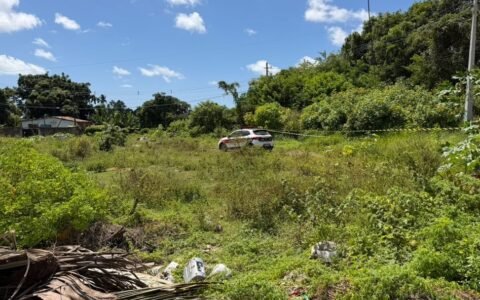 Cabeça é encontrada em mata de João Pessoa e exames vão analisar se é a mesma arrancada de corpo em cemitério