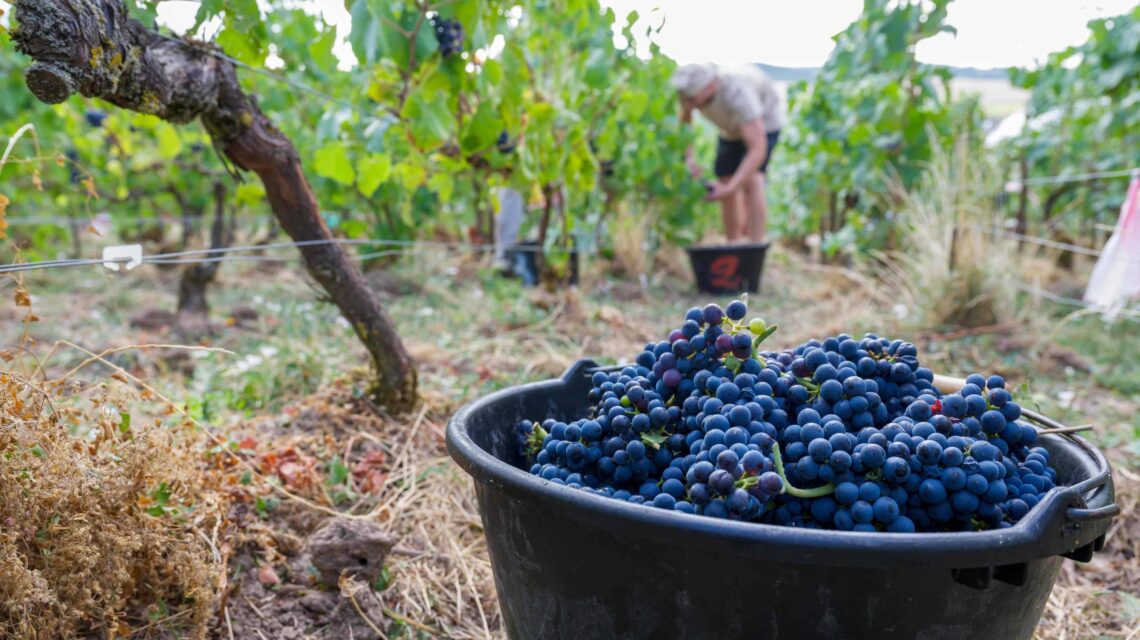 França enfrenta crise em seu modelo alimentar