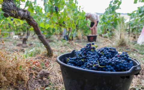 França enfrenta crise em seu modelo alimentar